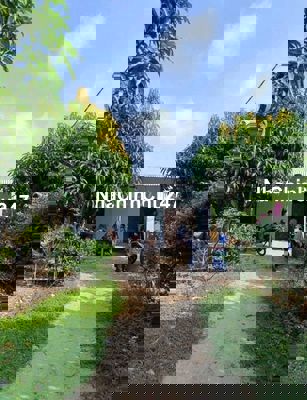 Chính Chủ Bán Ngộp Nhà cấp 4, Vườn Cây Trái rộng 2600m2, Giá 600 triệu