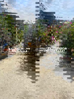 chính chủ bán đất kiệt phong nam hoà xuân Đà Nẵng