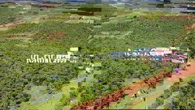 🌿 CHÍNH CHỦ GỬI BÁN 33 LÔ ĐẤT TẠI LỘC QUẢNG – BẢO LỘC, LÂM ĐỒNG 🌿