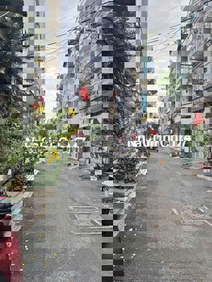 Bán nhà chính chủ đi định cư, xe hơi ngủ trong nhà, ngay phan văn trị