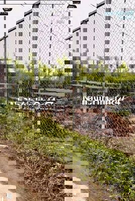 BÁN ĐẤT MẶT ĐÊ QUAI NHẬT TÂN, – 450M² – Ô TÔ TRÁNH – GẦN KHO GHN