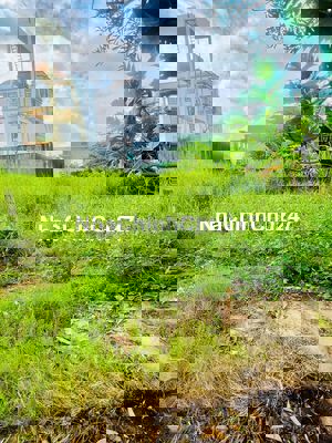 Chính chủ cần bán đất gần chợ cầu tràm cần đước giá 1,550 tỷ