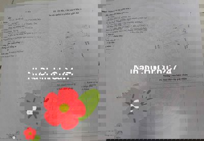 Bán đất trồng cây lâu năm xã bình triệu bến tre Chính chủ