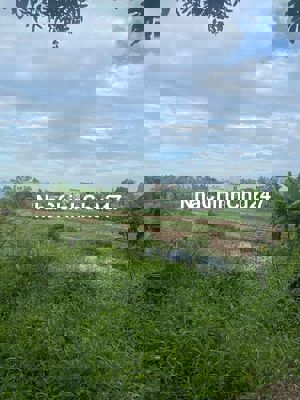 Chính chủ gia đình cần bán đất mặt tiền, trung tâm huyện Bình Chánh