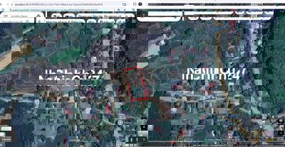 CHÍNH CHỦ BÁN 2000m ĐẤT QUÊ ANH SƠN GIÁP QL7