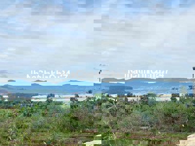 Chính chủ cần bán lỗ lô đất tại Thôn 1- Mê Linh - Lâm Hà