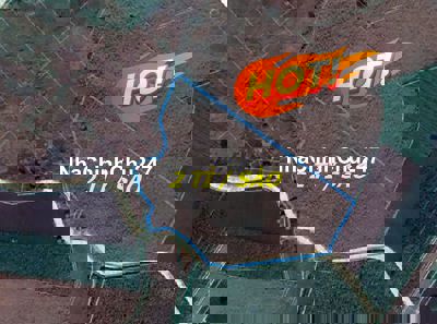 Bán đất 2 tỉ/sào CHÍNH CHỦ - Xã Láng dài - Bà Rịa Vũng Tàu