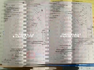 Cần ra đi siêu phẩm , đất đẹp liên hệ:*** chính chủ