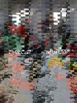 Chủ kẹt bán gấp 4 x 15m Đường Lưu Chí Hiếu