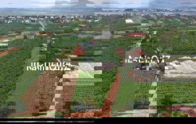 Chính chủ cần bán 157m² đất gần sân bay Liên Khương chỉ 790 triệu