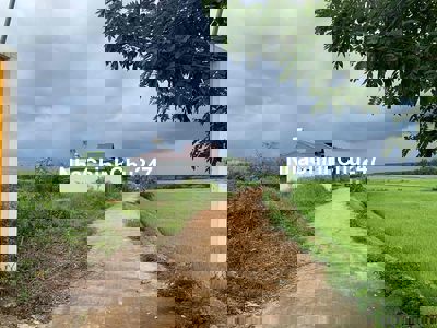 Chính chủ bán lô đất hẻm 106 lý thường kiệt trà đa pleiku