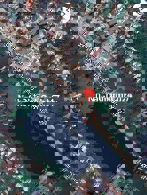 Chính chủ bán đất LUA 2 mặt tiền đường tránh P. Long Xuyên, An Giang