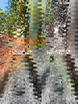 Chính chủ cần bán mảnh đất 45.5m2- ở Kim Sơn- Gia Lâm