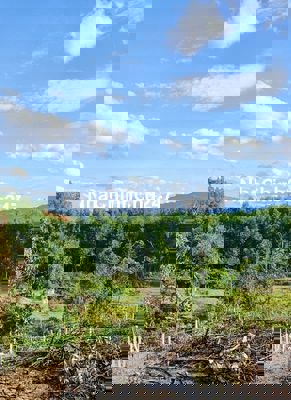 CẦN BÁN ĐẤT NHÀ VƯỜN, NGAY KHU TÁI ĐỊNH CƯ HÒA NINH, SỔ HỒNG CHÍNH CHỦ