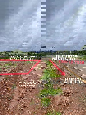 Chính Chủ 6 lô đất 300m2. Đường nhựa 40m. Giá 350 triệu