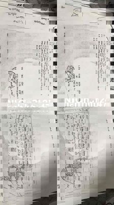 đất thổ cư chính chủ