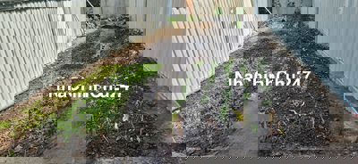 Chính chủ cần bán đất Phường Tân Tạo (Sau chùa Long Thạnh)