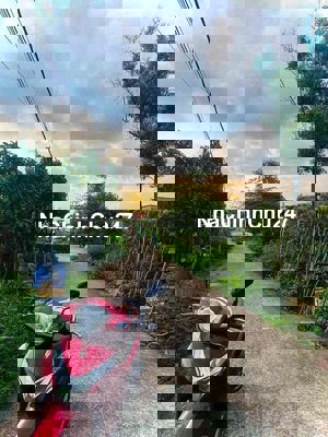 Bán đất chính chủ sổ đỏ 120m2 đường An Hạ gần chợ, trường học