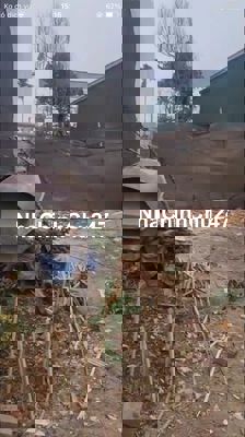 Bán đất đẹp vị trí đắc địa tại Phú Cát