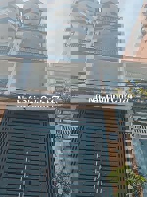 Nhà Đẹp-Giá tốt Chính Chủ Kẹt Tiền Bán gấp nhà tại quận Bình Tân,TPHCM