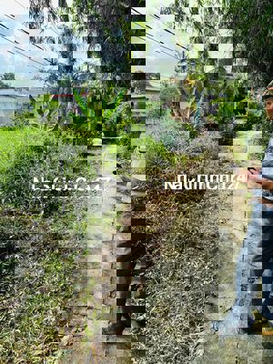 chính chủ cần bán