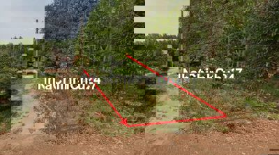 em chính chủ, đất kế nhà mẹ, cần bán gấp