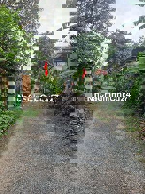 Chính chủ cần bán gấp miếng đất tp