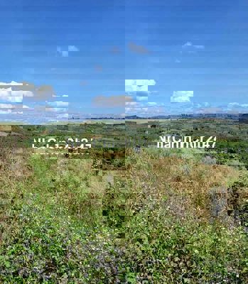 chính chủ cần bán đất Di Linh