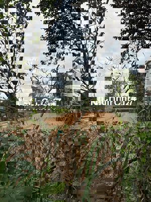 chính chủ bán đất đường DT Bình Quý, Thăng Bình, Quảng Nam (Đà Nẵng)