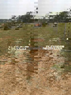 CHỦ GỬI LÔ ĐẤT 585M2 NGAY TL 7 X.PHƯỚC THẠNH -CỦ CHI. BÁN NHANH 890TR