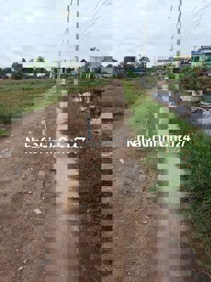 Bán đất 2.996m² chính chủ – An Thới Đông, Cần Giờ