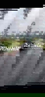 CHÍNH CHỦ GỬI BÁN ĐẤT - XÃ LỘC AN, LONG THÀNH, ĐỒNG NAI