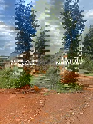 CHÍNH CHỦ BÁN NHÀ MẶT TIỀN ĐT 753 ĐỒNG NAI 580TR/380m2