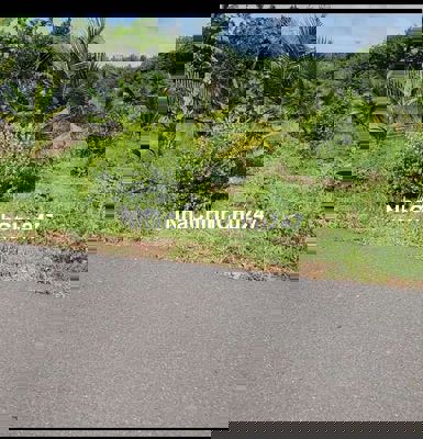 Chủ cần bán gấp mảnh vườn  tại TP HCM