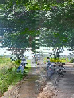 Chính chủ bán full thổ 125m2  ngay KCN Long Hậu