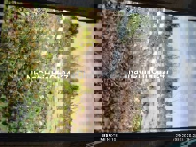 Chính chủ bán đất 1.376m², ngay khu dân cư Phước Khánh – Đồng Nai