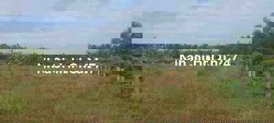 Bán đất chính chủ Bến Lức Long An, giá siêu rẻ cho nhà đầu tư