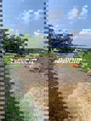 Tôi chính chủ có căn nhà vườn cần bán