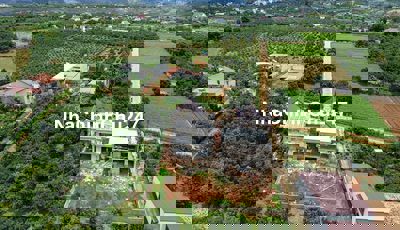 Chính chủ bán villa nghỉ dưỡng 375m² 300mONT full nội thấtven Đà Lạt