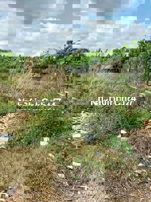 CHÍNH CHỦ CẦN BÁN LÔ ĐẤT ĐẸP TẠI GIA KIỆM - THỐNG NHẤT - ĐỒNG NAI