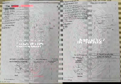 chính chủ cần bán nhà