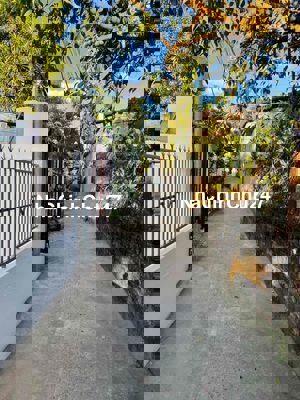 Chính chủ gửi bán kiệt 1074 Trường Chinh cách đường 40m -DT: 112 m2