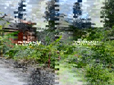 🔹 Chính chủ cần bán lô đất 851m thổ lúa xã Hựu Thạnh- Đức Hoà gần Đại