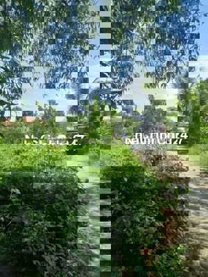 Chính chủ cần bán gấp đất