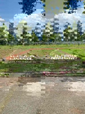 CHÍNH CHỦ BÁN, PHƯỜNG TAM LONG, TP HCM, 100 m2 full thổ cư