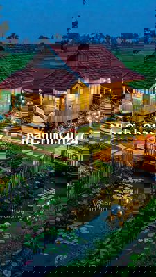 Chủ kẹt cần bán 610m2 đất nhà vườn tại trung tâm Trảng Bàng chỉ 890tr