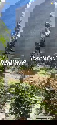 🔥 CHÍNH CHỦ BÁN ĐẤT KIỆT 2M – TRẦN NHÂN TÔNG, CẨM THANH – HỘI AN 🔥