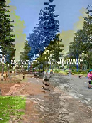 bán đất vành đai 4 chính chủ .bao sổ sách giá tốt