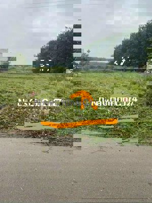 Bán Đất Chính Chủ - Trừ Văn Thố - Bàu Bàng -Đất Dân