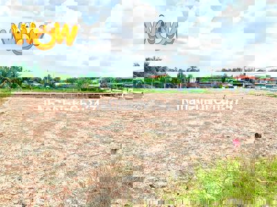 🔥CHÍNH CHỦ BÁN GẤP LÔ ĐẤT 160M² HẬU NGHĨA – GIÁ RẺ SỐC 🔥